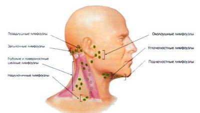 лимфоузлы около уха воспаление симптомы лечение