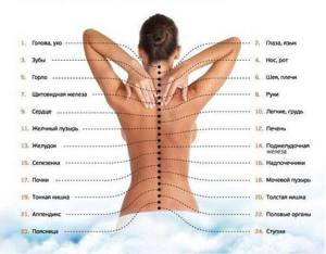 обострение остеохондроза шейного и грудного отдела симптомы лечение