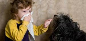 аллергия на шерсть симптомы у ребенка лечение