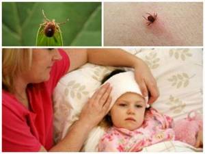 последствия укуса клеща у ребенка симптомы и лечение