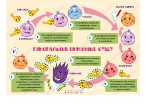 слабый иммунитет у ребенка причины симптомы лечение и профилактика