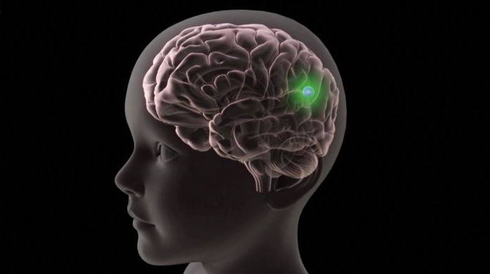 цистицеркоз головного мозга симптомы лечение