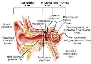 воспаление среднего уха лечение симптомы