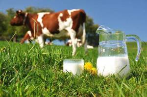 непереносимость коровьего белка у ребенка симптомы и лечение
