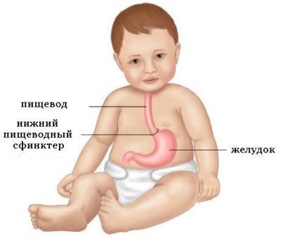 отравление у 3 летнего ребенка симптомы и лечение