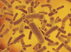бактериурия у детей симптомы и лечение