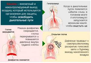 лечение первых симптомов кашля