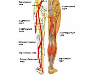 невралгия симптомы у взрослых лечение ноги